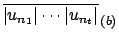 ${\overline{\vert u_{n_1}\vert\cdots \vert u_{n_t}\vert}}_{\,(b)}$