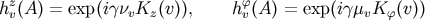 hzv(A) = exp(ignvKz(v)), hfv(A) = exp(igmvKf(v))