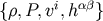 &#x007B;&#x03C1;,P,vi,h&#x03B1;&#x03B2; &#x007D;