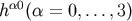 h &#x03B1;0&#x0028;&#x03B1; = 0,...,3&#x0029;