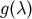 g&#x0028;&#x03BB; &#x0029;