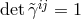 ij det &tidle;γ = 1