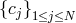 {cj}1≤j≤N