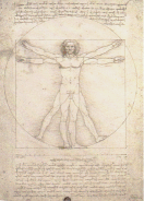 Leonardo's drawing of the Vitruvian man