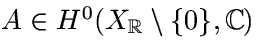 $ A \in H^0(X_{
\mathbb {R}
} \setminus \lbrace 0 \rbrace , 
\mathbb {C}
) $